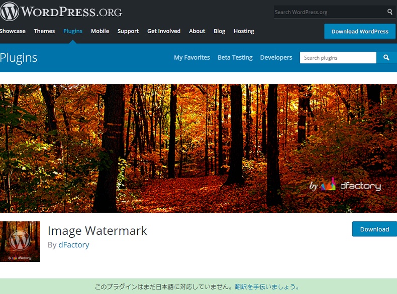 画像へ著作権表示を施すWordPressプラグイン「Image Watermark」